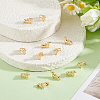 12Pcs Brass Charms KK-BBC0028-31-4