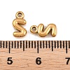 304 Stainless Steel Pendants STAS-S186-12S-G01-3