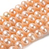 Natural Cultured Freshwater Pearl Beads Strands PEAR-E018-27-1