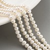 Natural Cultured Freshwater Pearl Beads Strands PEAR-C003-07D-X-1