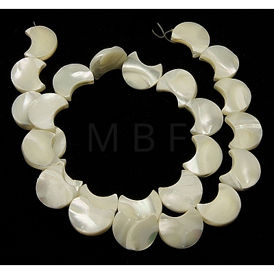 Natural White Shell Beads Strands X-SSHEL-G16B-1