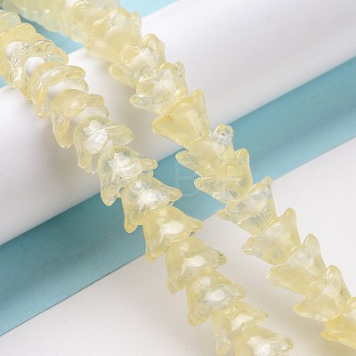 Transparent Glass Beads Strands LAMP-H061-01C-05-1