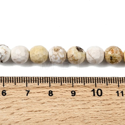 Natural Magnesite Beads Strands G-P598-E-8mm-03-1