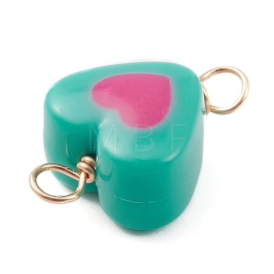 Opaque Resin Connector Charms PALLOY-JF02247-01-1