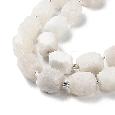 Natural White Moonstone Beads Strands G-C105-A05-01-1
