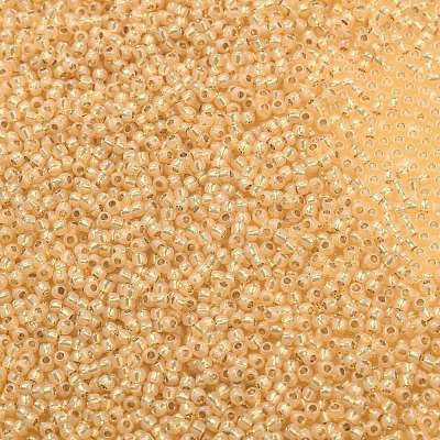 TOHO 11/0 Round Beads X-SEED-TR11-2110-1
