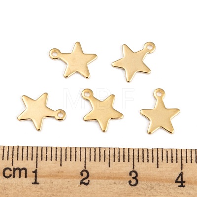 304 Stainless Steel Charms STAS-G190-27G-B-1