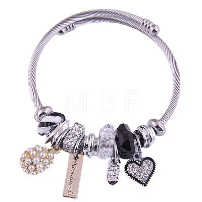 Adjustable Stainless Steel European Bangles FS-WG81C2D-02-1