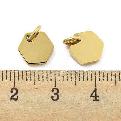 304 Stainless Steel Charms STAS-P356-01G-1