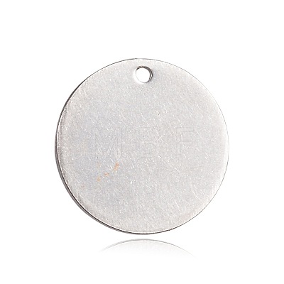 Spray Painted Stainless Steel Charms STAS-F092-10P-1