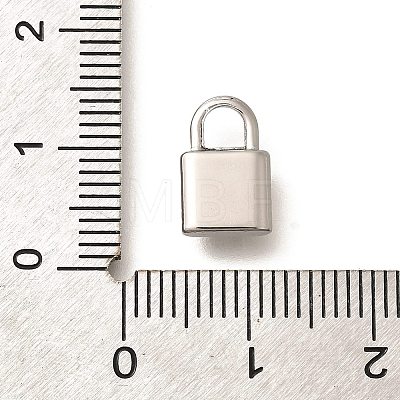 304 Stainless Steel Charms STAS-D288-05P-1