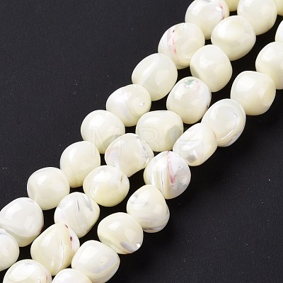 Natural Trochid Shell Beads Strands SSHEL-G023-04A-1