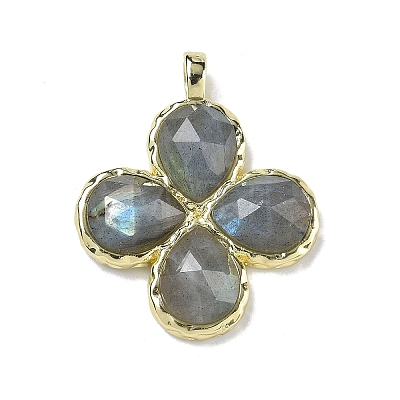 Natural LabradoriteFaceted Pendants G-A308-01G-14-1