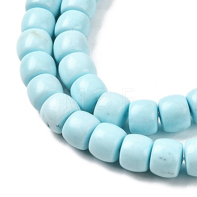 Natural Magnesite Beads Strands G-P598-C01-01B-1