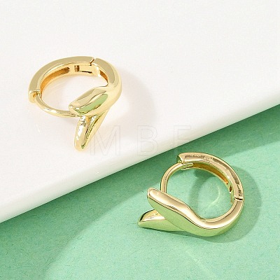 Brass Hoop Earrings EJEW-D348-27G-1
