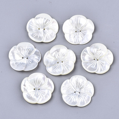 2-Hole White Shell Mother of Pearl Shell Buttons SSHEL-R049-06-1