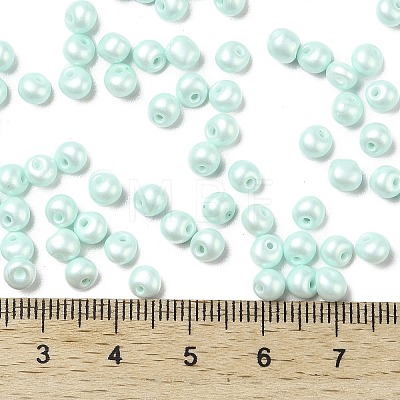 6/0 Glass Seed Beads SEED-L011-08A-14-1