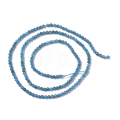 Natural Apatite Beads Strands G-F596-29-3mm-1