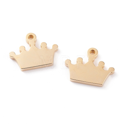 Ion Plating(IP) 304 Stainless Steel Charms X-STAS-Y002-10G-1