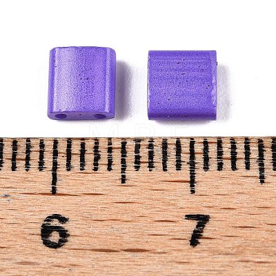 2-Hole Baking Paint Glass Seed Beads SEED-S023-17C-24-1