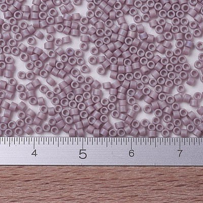 MIYUKI Delica Beads SEED-X0054-DB0875-1