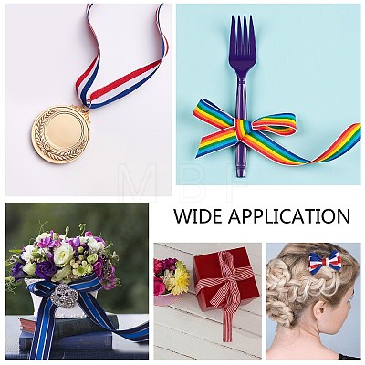 Flat Striped Grosgrain Polyester Ribbons EC-WH0003-13-B01-1