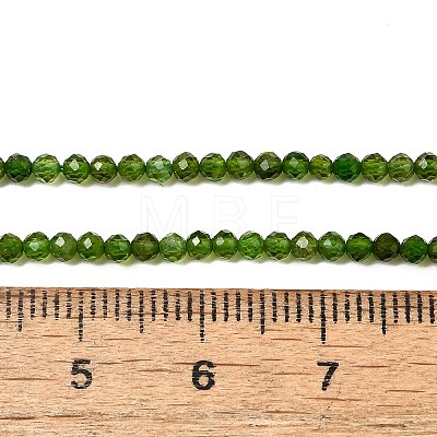 Natural Green Diopside Beads Strands G-NH0046-A01-01-1