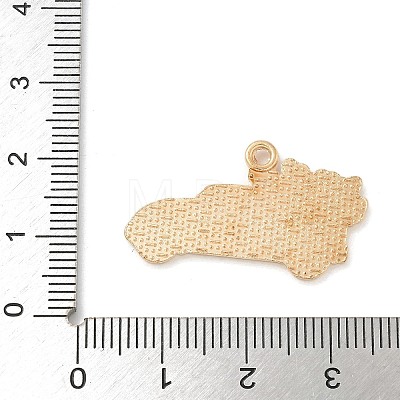 Thanksgiving Day Alloy Pendants ENAM-R007-01G-12-1