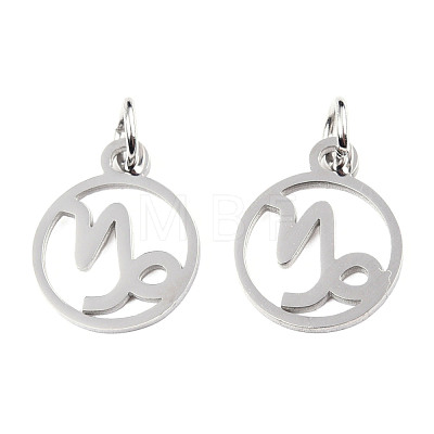 Non-Tarnish 304 Stainless Steel Charms STAS-T036-T513-A10-1