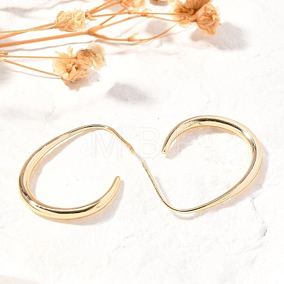 Brass Dangle Earrings X-KK-T056-110G-NF-1