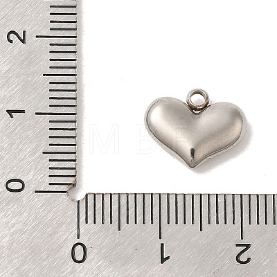 304 Stainless Steel Charms STAS-S131-12P-1