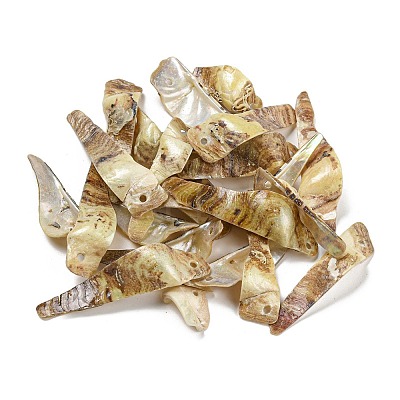 Spray Painted Natural Akoya Shell Big Pendants BSHE-G034-09G-1