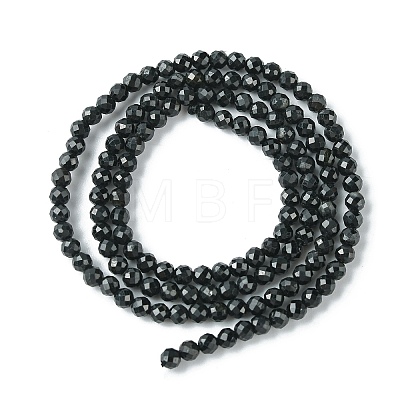 Natural Black Tourmaline Beads Strands G-F748-Y01-02-1