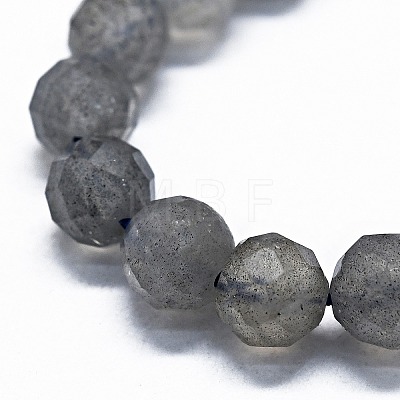 Natural Labradorite Beads Strands G-G927-47-1