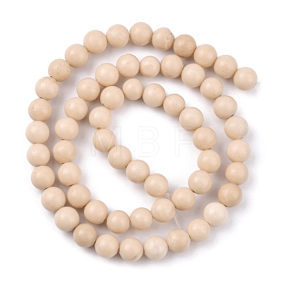 Natural Fossil Beads Strands X-G-E110-6mm-2-1