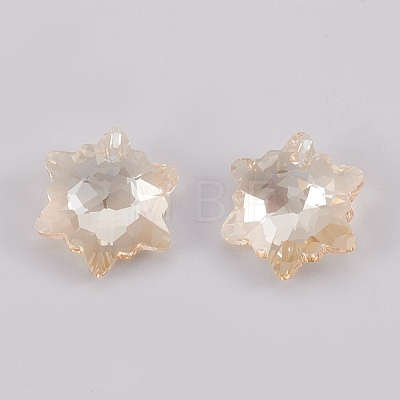 K9 Glass Rhinestone Pendants GLAA-F083-03B-04-1