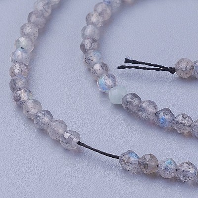 Natural Labradorite Beads Strands LS-G-F619-15-3mm-1