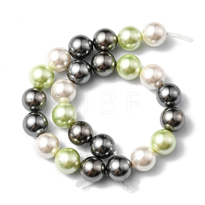 Shell Pearl Colorful Beads Strands BSHE-F013-14M-8mm-1
