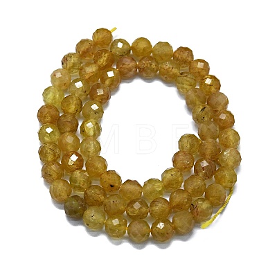 Natural Yellow Apatite Beads Strands G-G927-09-1