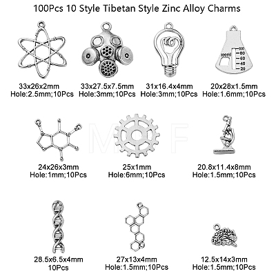 100Pcs 10 Style Tibetan Style Lab Theme Zinc Alloy Pendants TIBEP-CJ0001-87-1
