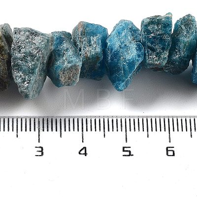 Raw Rough Natural Apatite Beads Strands G-P528-A15-01-1