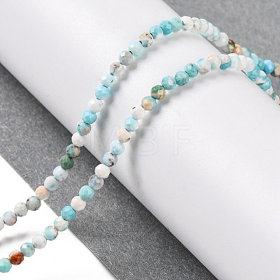 Natural Howlite Beads Strands G-C025-02A-07-1