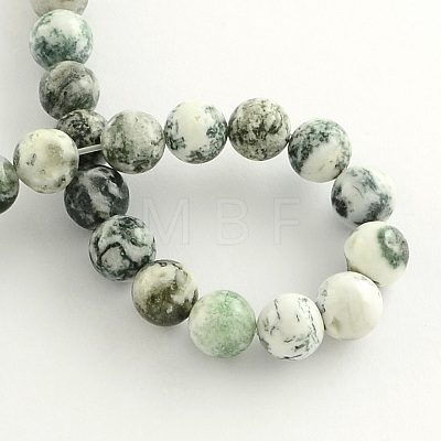 Natural Tree Agate Round Gemstone Beads Strands G-R255-10mm-1