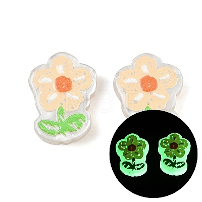 Luminous Resin Enamel Beads RE-CBAC4C7-12E-1
