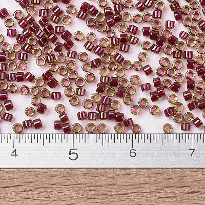 MIYUKI Delica Beads X-SEED-J020-DB1748-1
