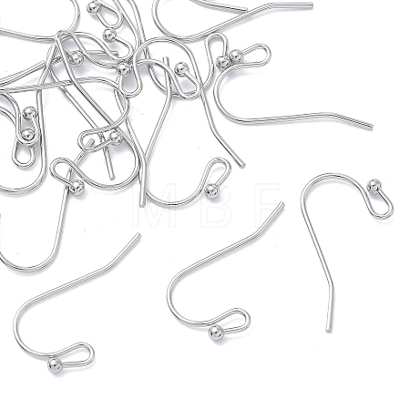 SHEGRACE Brass Earring Hooks XGR0138P-154P-1