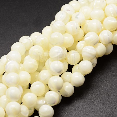 Natural Sea Shell Beads Strands SSHEL-K013-10mm-A-1