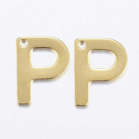 304 Stainless Steel Charms LS-X-STAS-P141-P-1