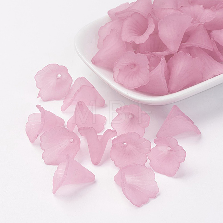 Transparent Acrylic Bead Caps X-PL551-C10-1