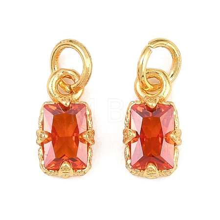 Brass Pave Cubic Zirconia Charms KK-K340-50G-01-1